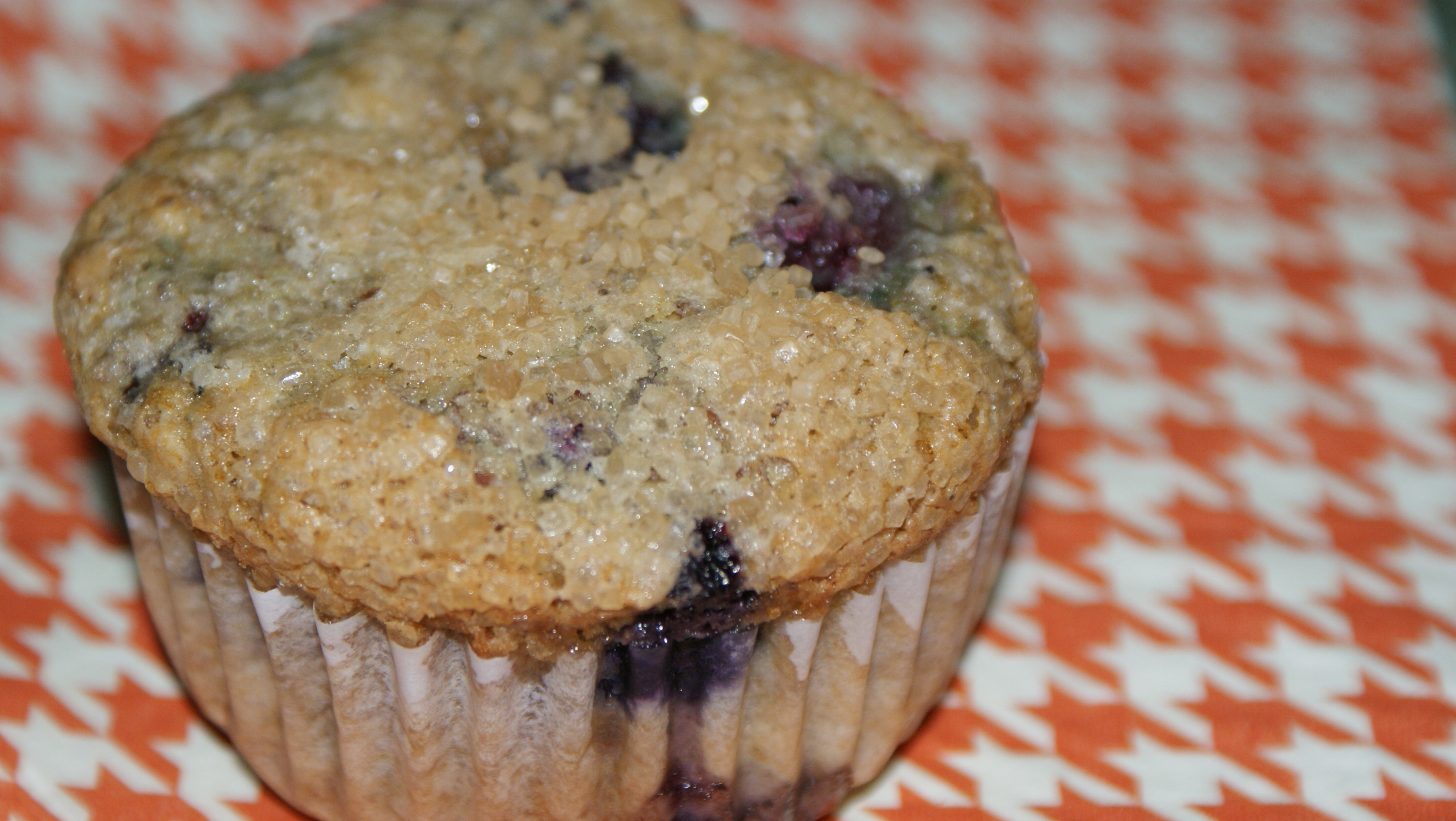 Low Fat Blueberry Muffins with Oats, Almonds and Flax