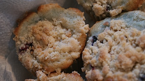 Delicious Blueberry Muffin Recipe
