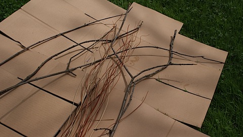 Simple Centerpiece:  Sticks