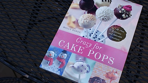 Crazy for Cake Pops