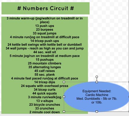 Numbers Circuit